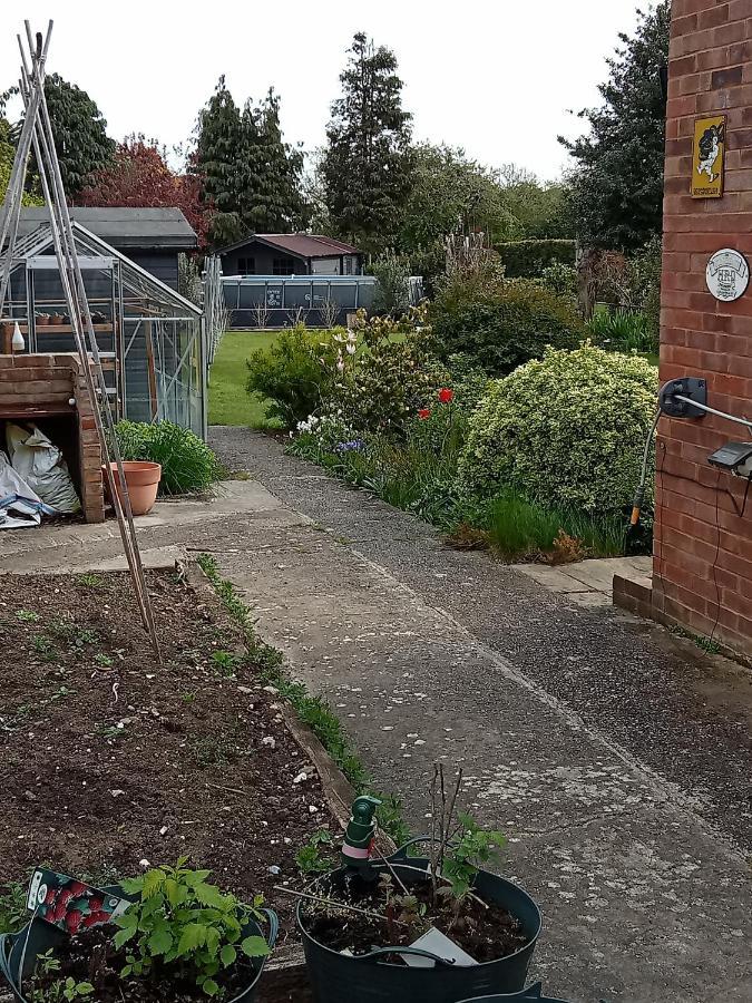Delightful Cosy Cabin مارجيت المظهر الخارجي الصورة